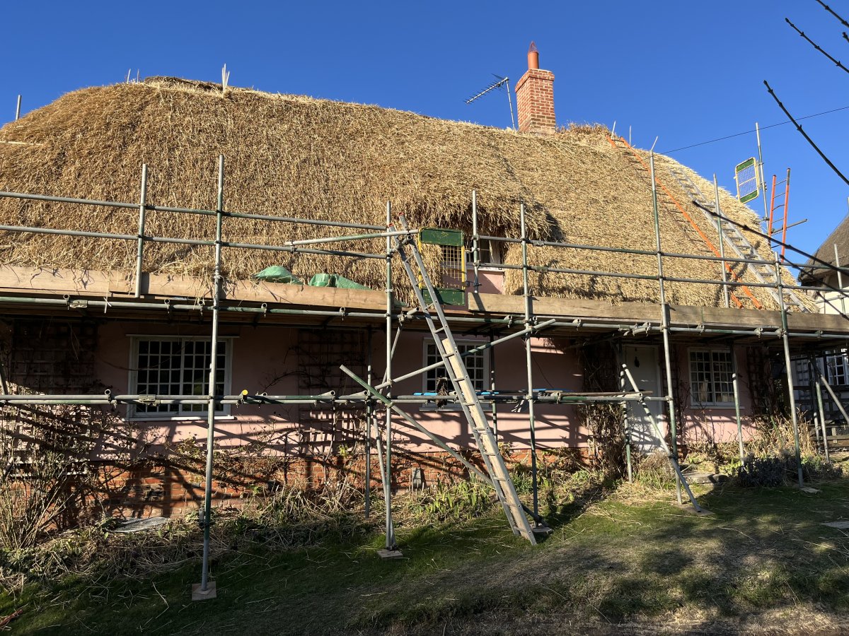Thatched roof