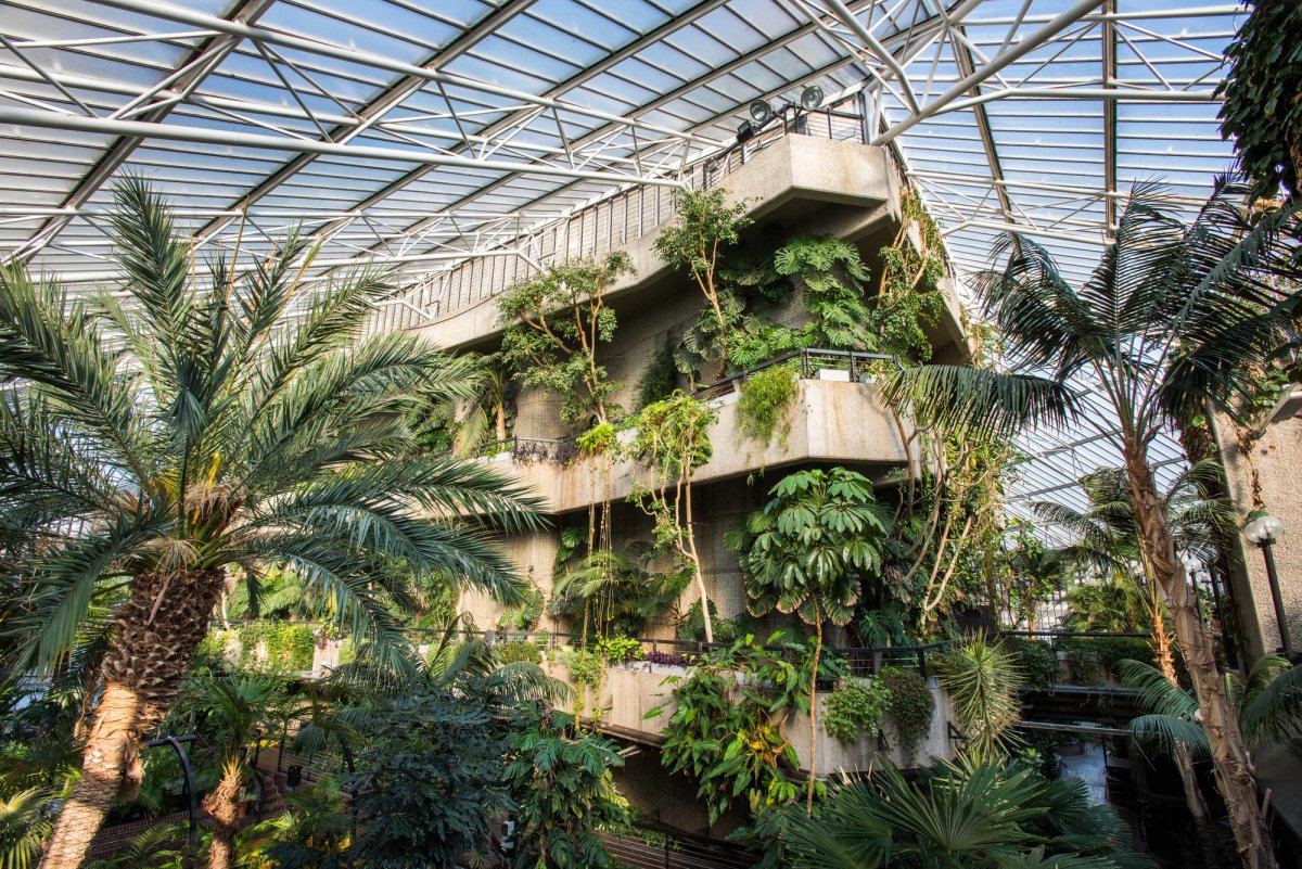 The conservatory at the Barbican