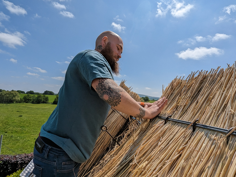 A Scholar thatching on a sunny day