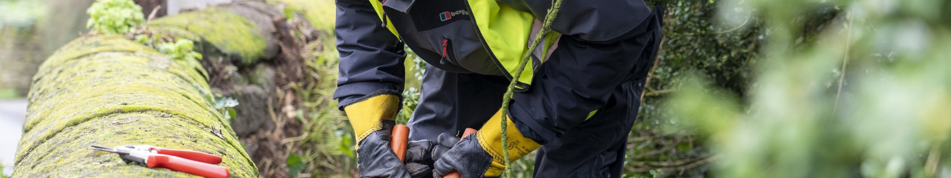 A man uses loppers to trim vegetation against a historic wall. He is wearing winter clothes and a hi-vis vest.
