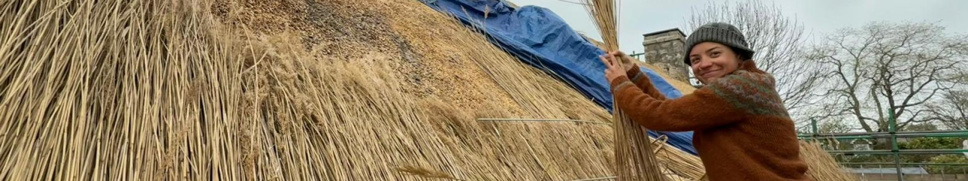 Fellow Viv Walker thatching © Tom Stevens