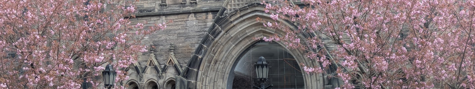 The doorway of Newington Trinity with blossom trees