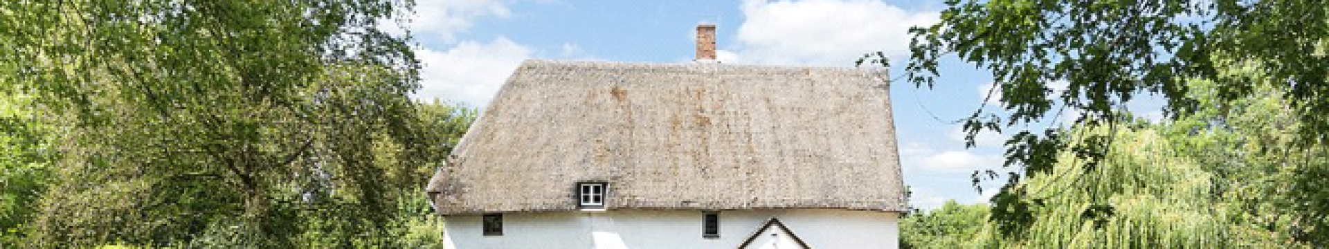 Thatched house