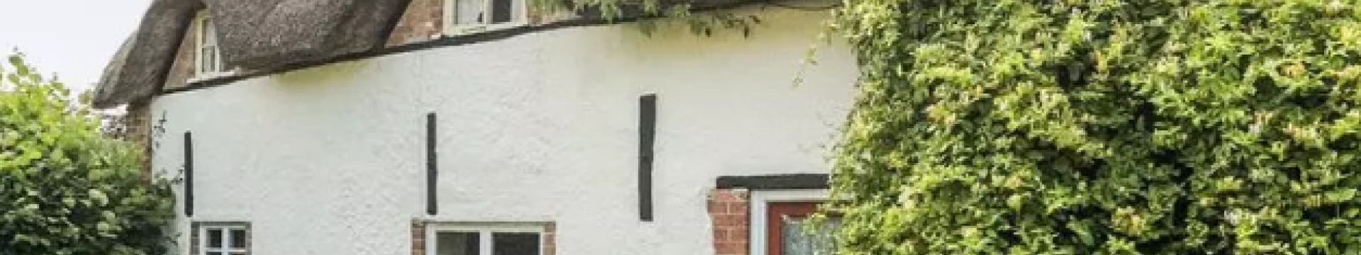 Thatched cottage