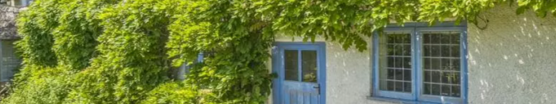 thatched cottage