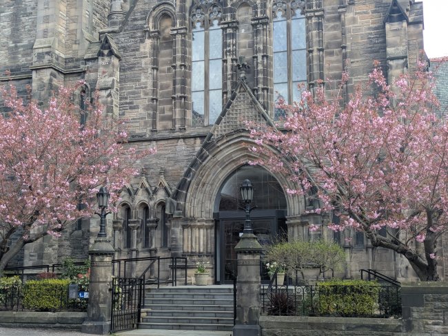 The doorway of Newington Trinity with blossom trees