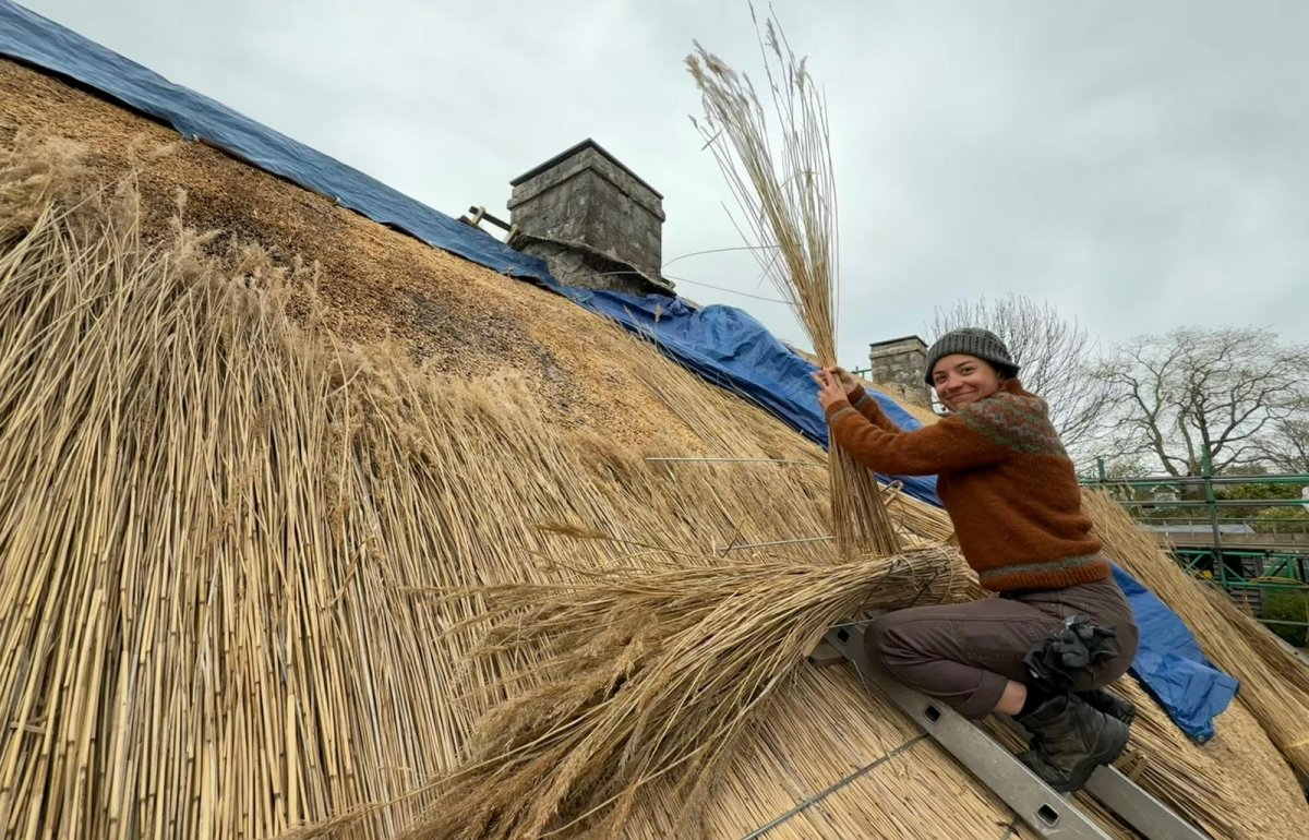 Fellow Viv Walker thatching © Tom Stevens